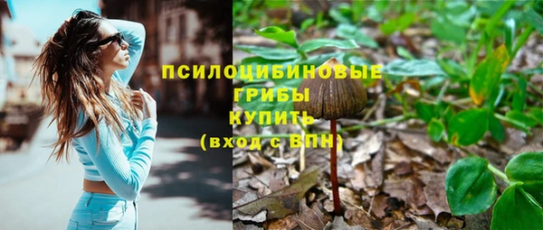 стафф Протвино